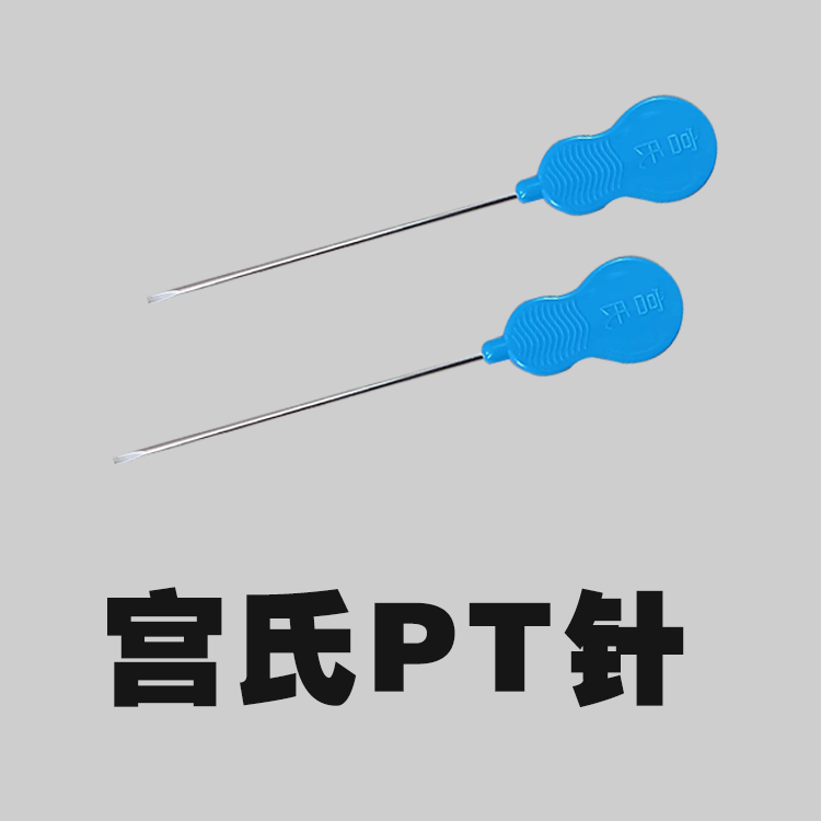 宫氏PT针